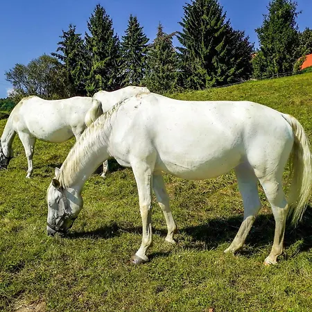 Landgut Mit Terrasse By Interhome *