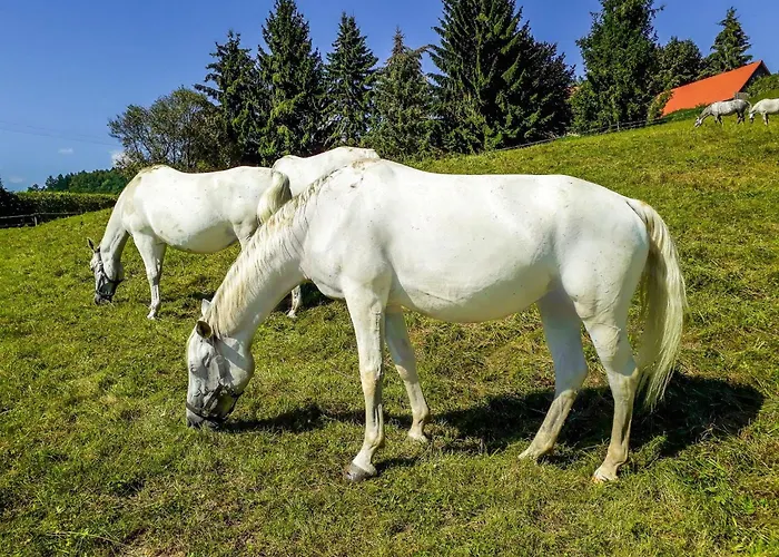 Landgut Mit Terrasse By Interhome *